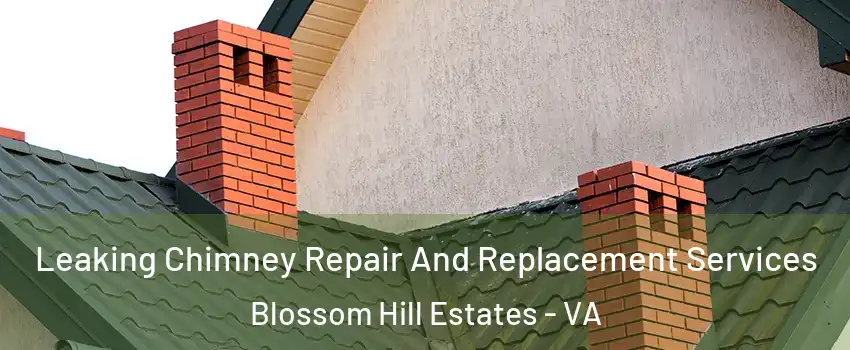 Leaking Chimney Repair And Replacement Services Blossom Hill Estates - VA