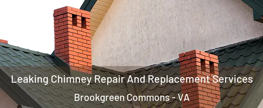 Leaking Chimney Repair And Replacement Services Brookgreen Commons - VA