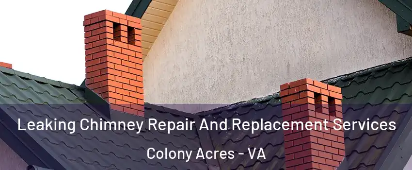 Leaking Chimney Repair And Replacement Services Colony Acres - VA