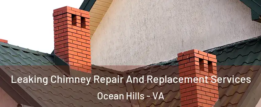 Leaking Chimney Repair And Replacement Services Ocean Hills - VA