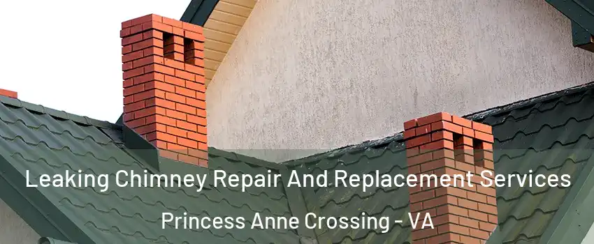 Leaking Chimney Repair And Replacement Services Princess Anne Crossing - VA