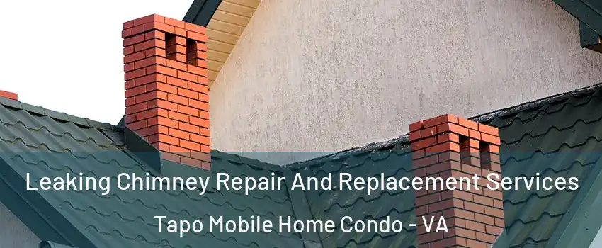 Leaking Chimney Repair And Replacement Services Tapo Mobile Home Condo - VA