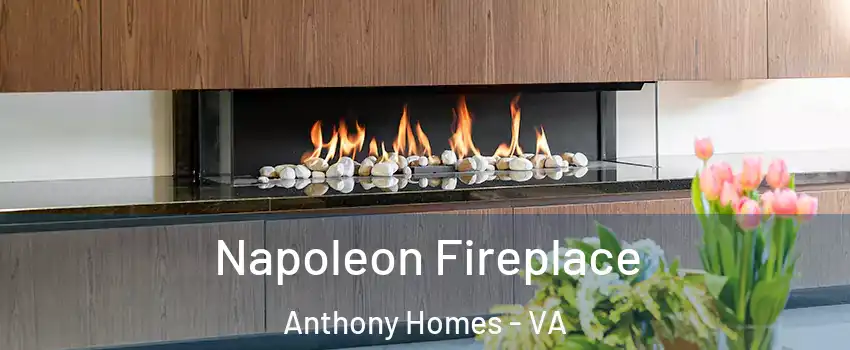 Napoleon Fireplace Anthony Homes - VA