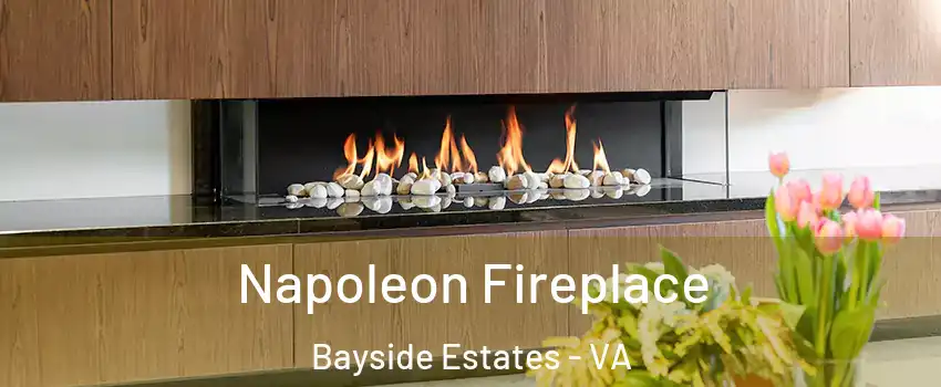 Napoleon Fireplace Bayside Estates - VA