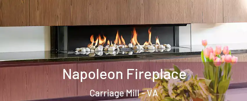 Napoleon Fireplace Carriage Mill - VA