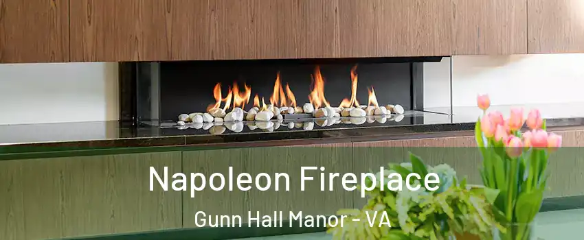 Napoleon Fireplace Gunn Hall Manor - VA