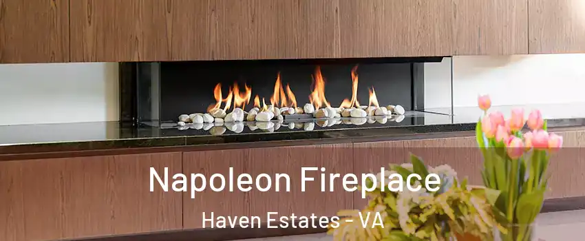 Napoleon Fireplace Haven Estates - VA