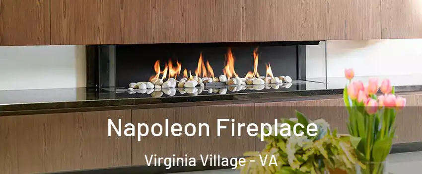 Napoleon Fireplace Virginia Village - VA