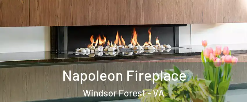 Napoleon Fireplace Windsor Forest - VA