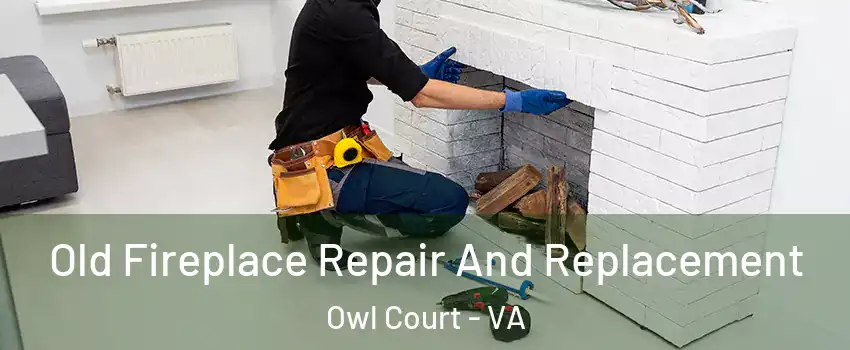 Old Fireplace Repair And Replacement Owl Court - VA