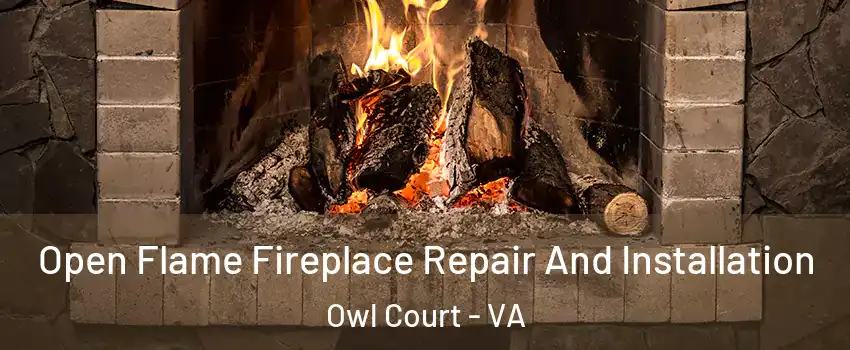 Open Flame Fireplace Repair And Installation Owl Court - VA