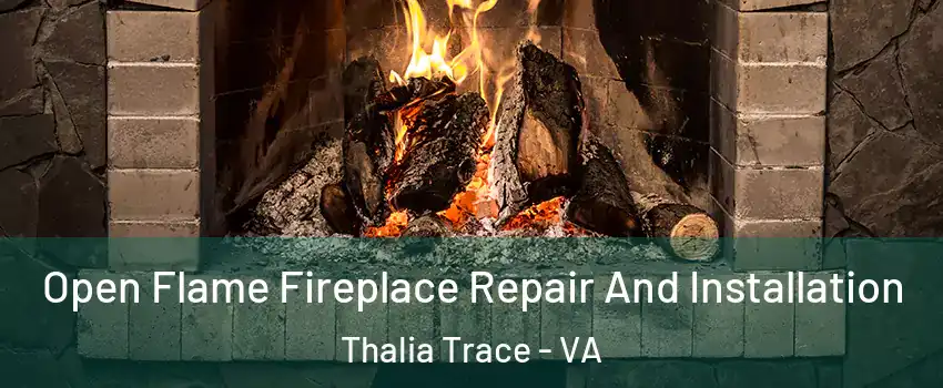 Open Flame Fireplace Repair And Installation Thalia Trace - VA