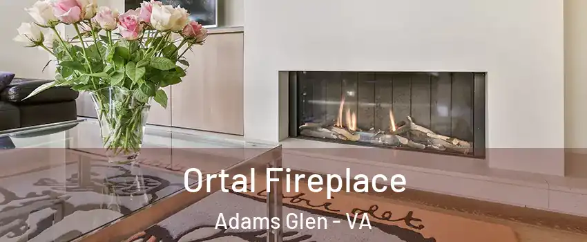 Ortal Fireplace Adams Glen - VA