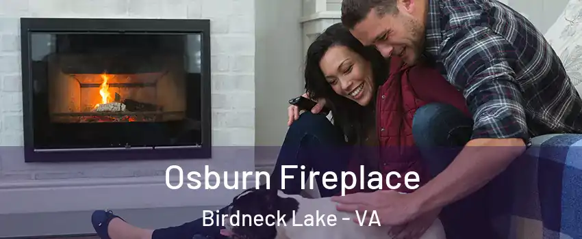 Osburn Fireplace Birdneck Lake - VA