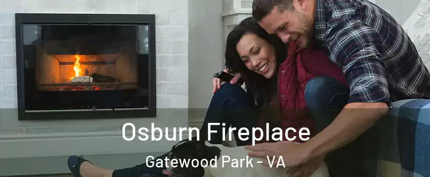 Osburn Fireplace Gatewood Park - VA