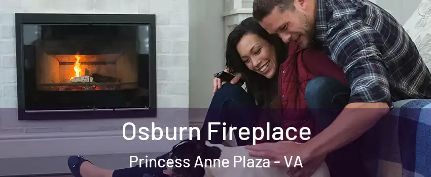 Osburn Fireplace Princess Anne Plaza - VA