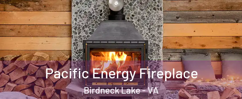 Pacific Energy Fireplace Birdneck Lake - VA