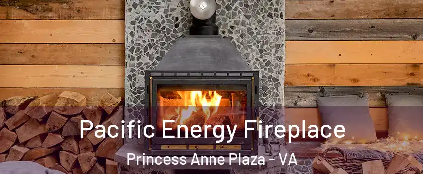 Pacific Energy Fireplace Princess Anne Plaza - VA