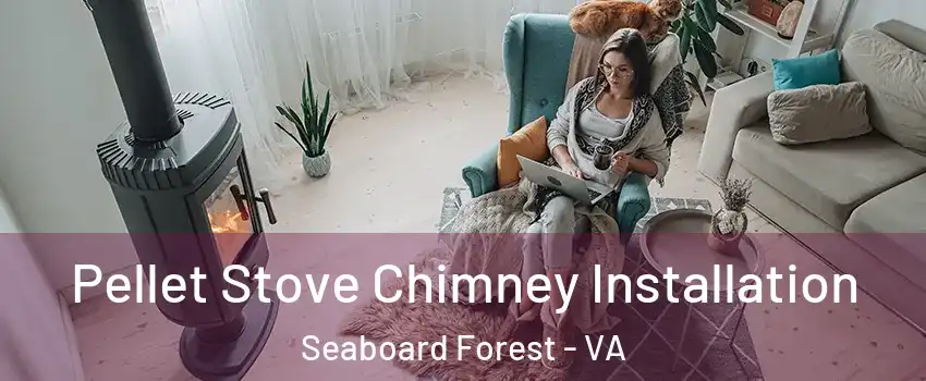 Pellet Stove Chimney Installation Seaboard Forest - VA