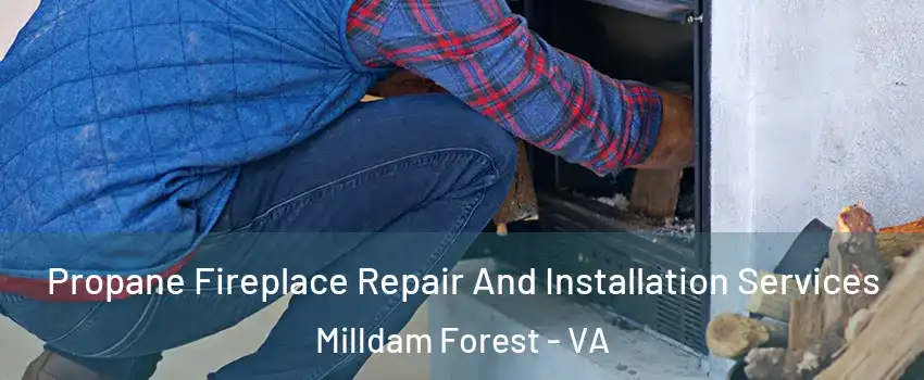 Propane Fireplace Repair And Installation Services Milldam Forest - VA