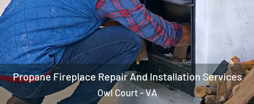 Propane Fireplace Repair And Installation Services Owl Court - VA