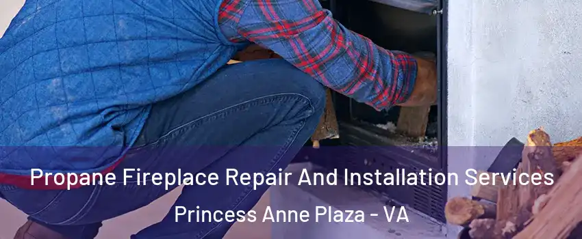 Propane Fireplace Repair And Installation Services Princess Anne Plaza - VA