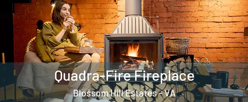 Quadra-Fire Fireplace Blossom Hill Estates - VA