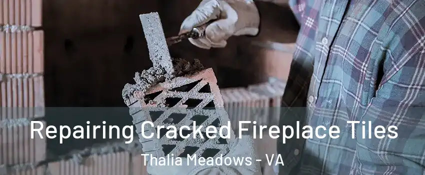 Repairing Cracked Fireplace Tiles Thalia Meadows - VA