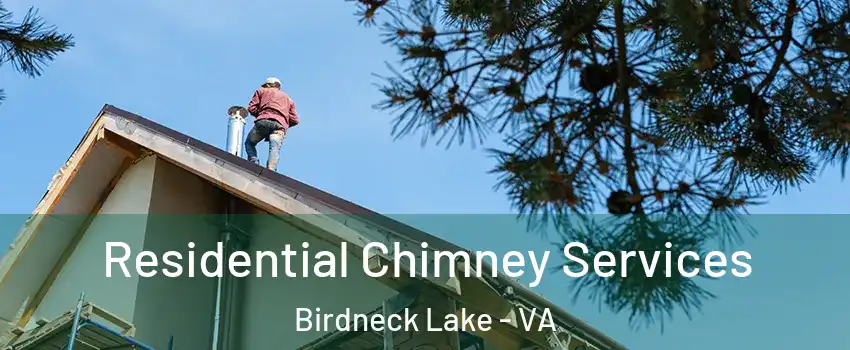 Residential Chimney Services Birdneck Lake - VA