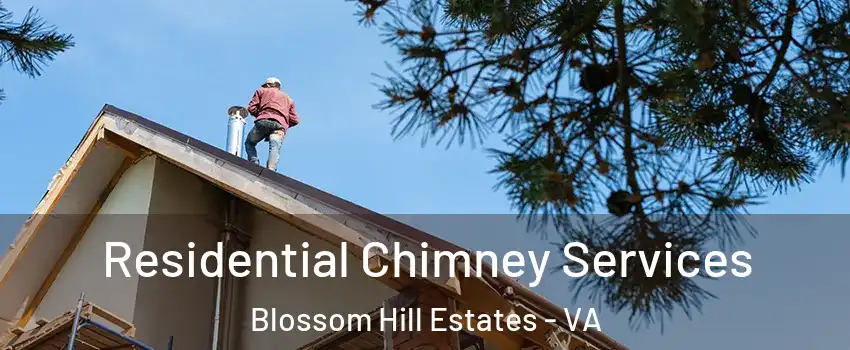 Residential Chimney Services Blossom Hill Estates - VA