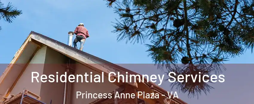 Residential Chimney Services Princess Anne Plaza - VA