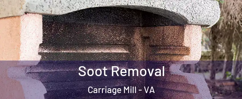 Soot Removal Carriage Mill - VA