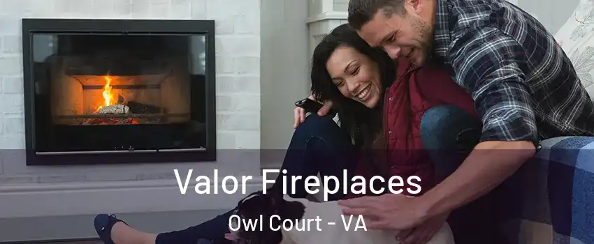 Valor Fireplaces Owl Court - VA