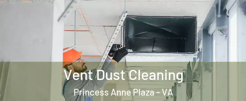 Vent Dust Cleaning Princess Anne Plaza - VA