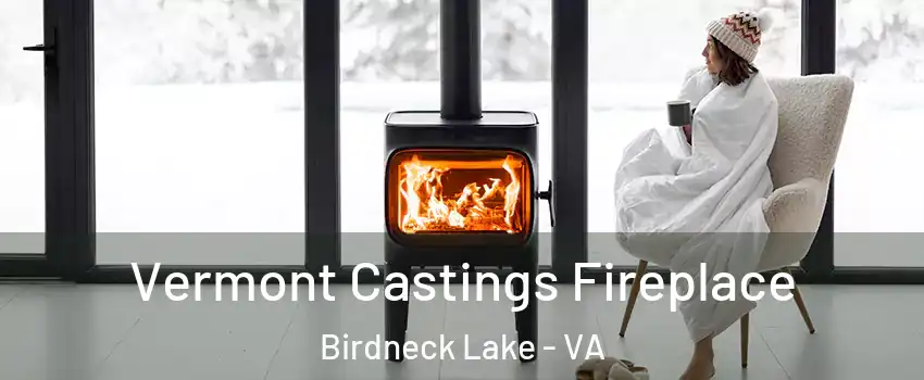 Vermont Castings Fireplace Birdneck Lake - VA