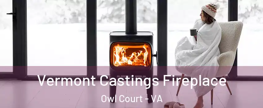 Vermont Castings Fireplace Owl Court - VA