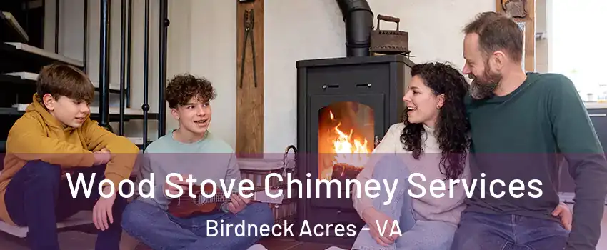 Wood Stove Chimney Services Birdneck Acres - VA