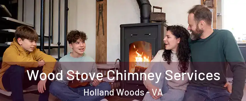 Wood Stove Chimney Services Holland Woods - VA