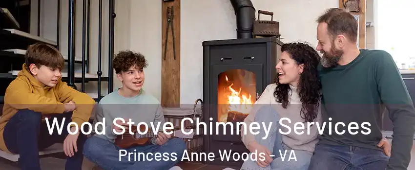 Wood Stove Chimney Services Princess Anne Woods - VA