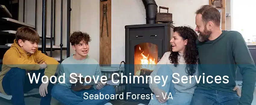 Wood Stove Chimney Services Seaboard Forest - VA