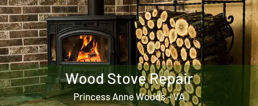 Wood Stove Repair Princess Anne Woods - VA